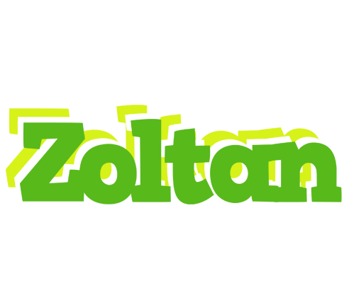 Zoltan picnic logo
