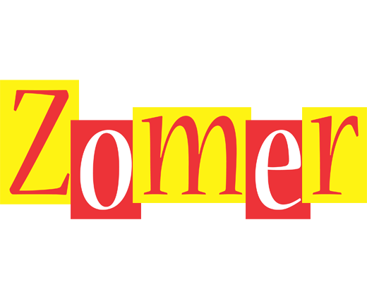 Zomer errors logo