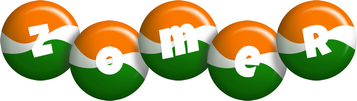 Zomer india logo