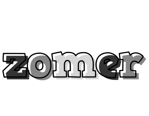 Zomer night logo