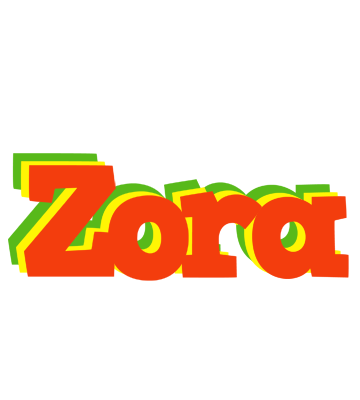 Zora bbq logo