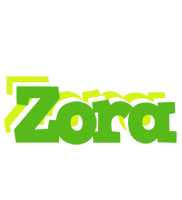 Zora picnic logo