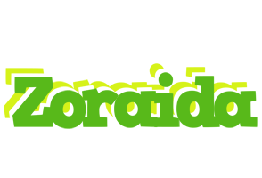 Zoraida picnic logo
