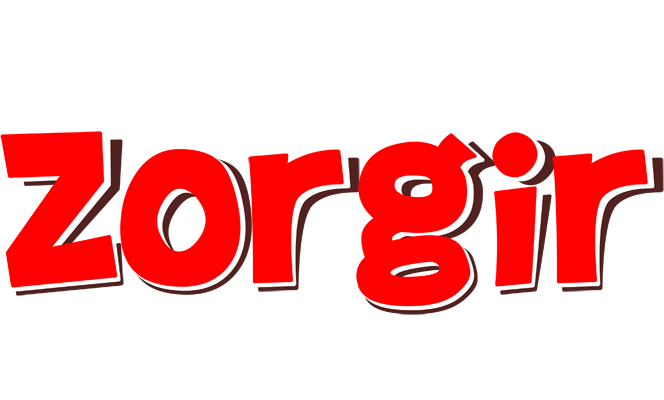 Zorgir basket logo