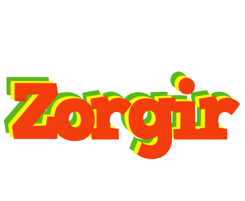 Zorgir bbq logo