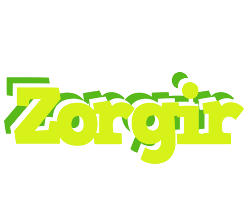 Zorgir citrus logo