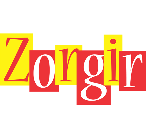 Zorgir errors logo