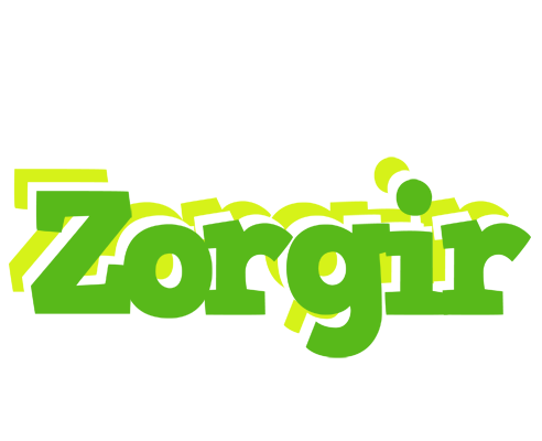 Zorgir picnic logo