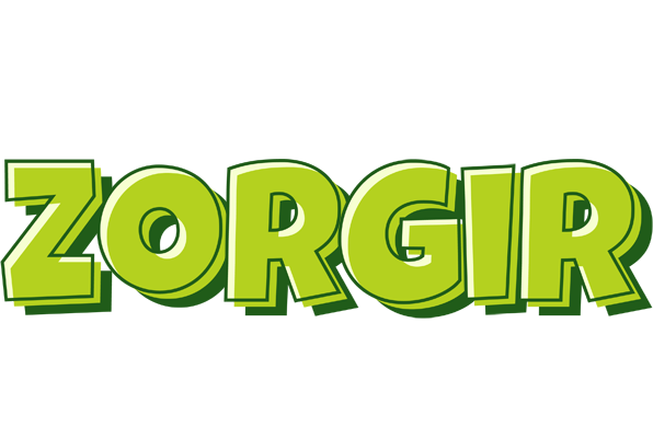 Zorgir summer logo