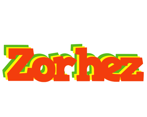 Zorhez bbq logo