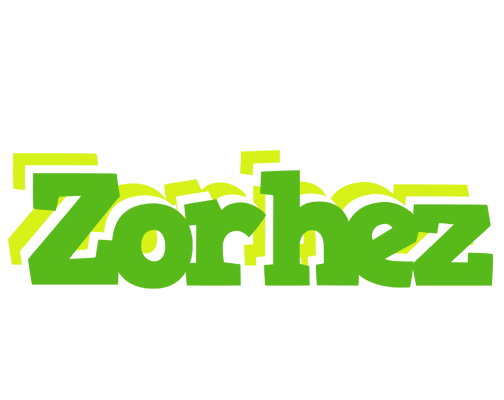 Zorhez picnic logo