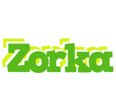 Zorka picnic logo