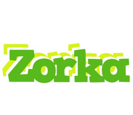 Zorka picnic logo