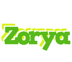 Zorya picnic logo