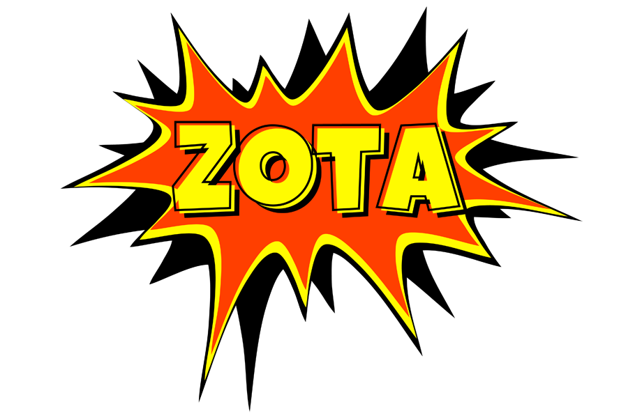 Zota bazinga logo