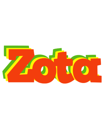 Zota bbq logo