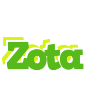 Zota picnic logo