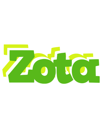 Zota picnic logo