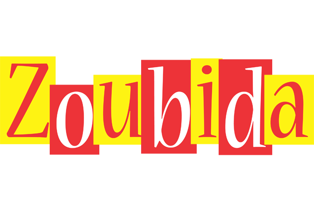Zoubida errors logo