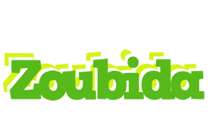 Zoubida picnic logo