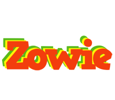 Zowie bbq logo