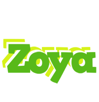 Zoya picnic logo