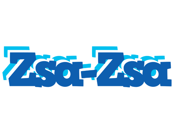 Zsa-Zsa business logo