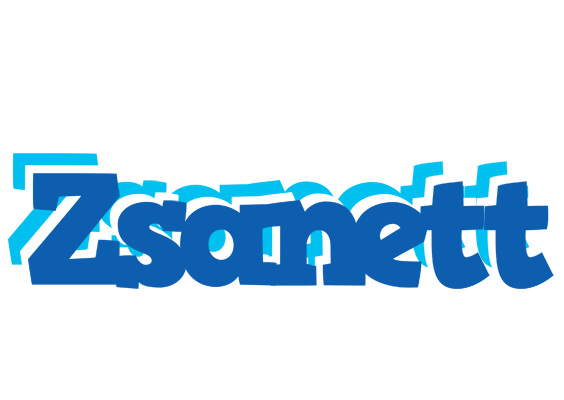 Zsanett business logo