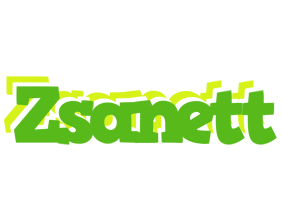 Zsanett picnic logo