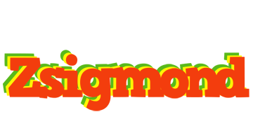 Zsigmond bbq logo