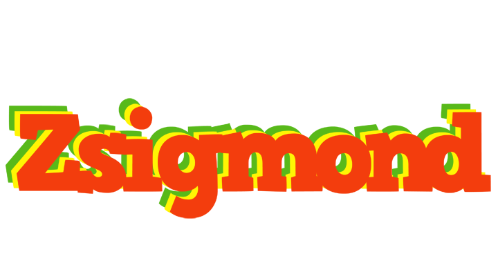 Zsigmond bbq logo