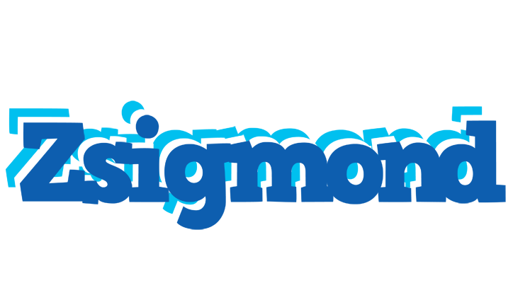Zsigmond business logo