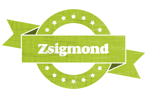 Zsigmond change logo