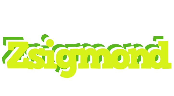 Zsigmond citrus logo