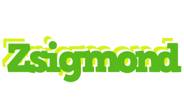 Zsigmond picnic logo