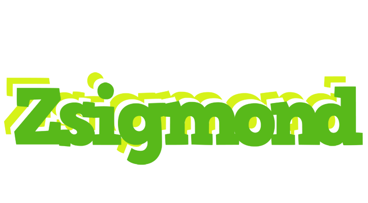 Zsigmond picnic logo