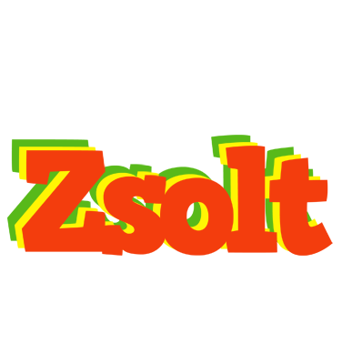 Zsolt bbq logo
