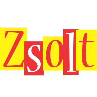 Zsolt errors logo