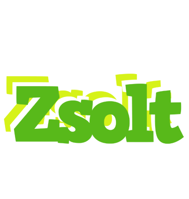 Zsolt picnic logo