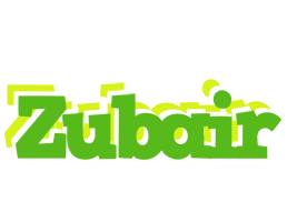 Zubair picnic logo