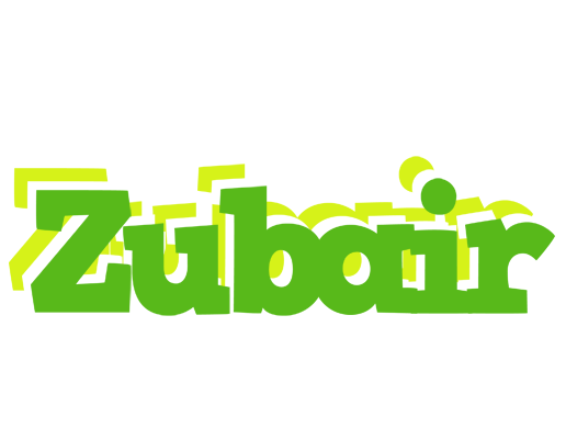 Zubair picnic logo