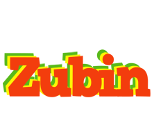 Zubin bbq logo