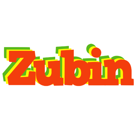 Zubin bbq logo