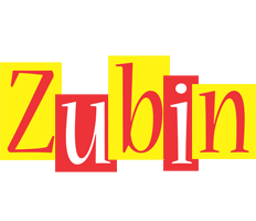 Zubin errors logo