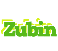 Zubin picnic logo