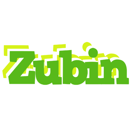 Zubin picnic logo