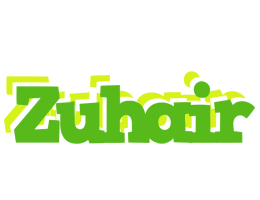 Zuhair picnic logo