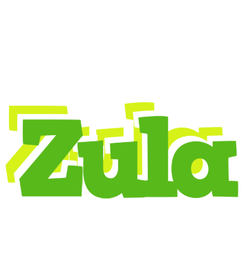 Zula picnic logo