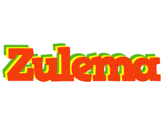 Zulema bbq logo