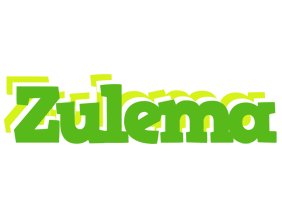 Zulema picnic logo